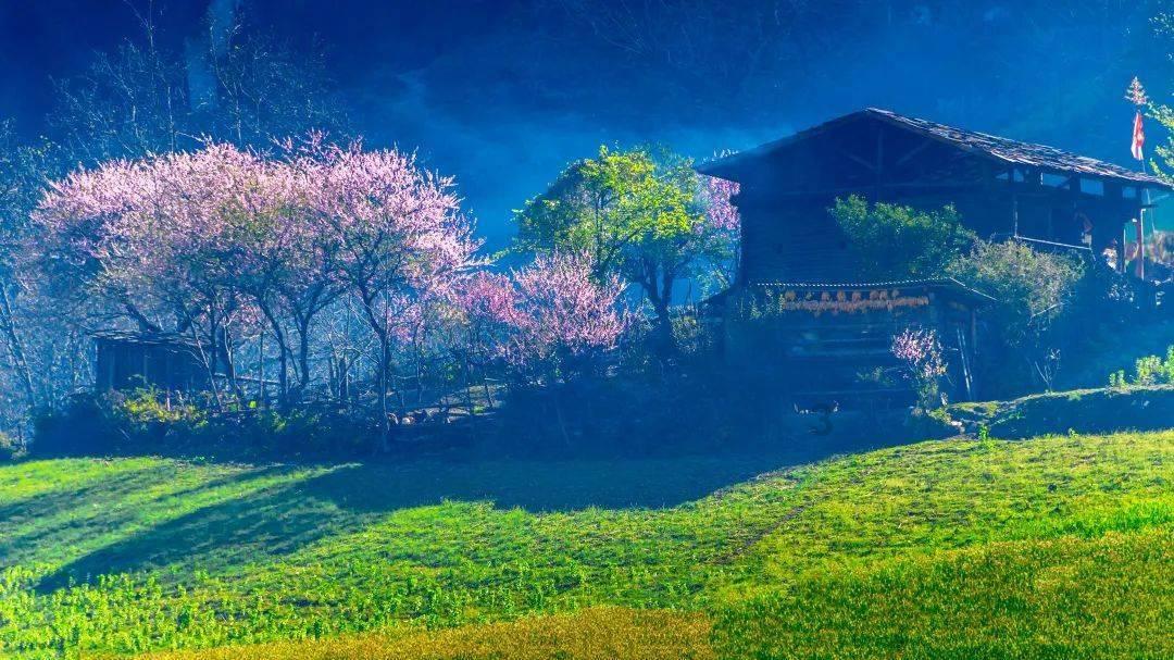 【2月月运】2月十二星座月运详解—Ezoey徐佩玲月运